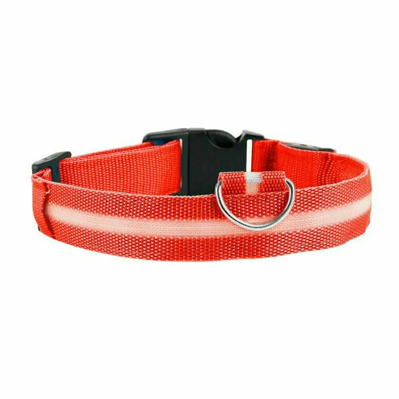 Red (, M) Usb Rechargeable Led Flashing Luminous Safety Night Light Up Dog Pet Collar