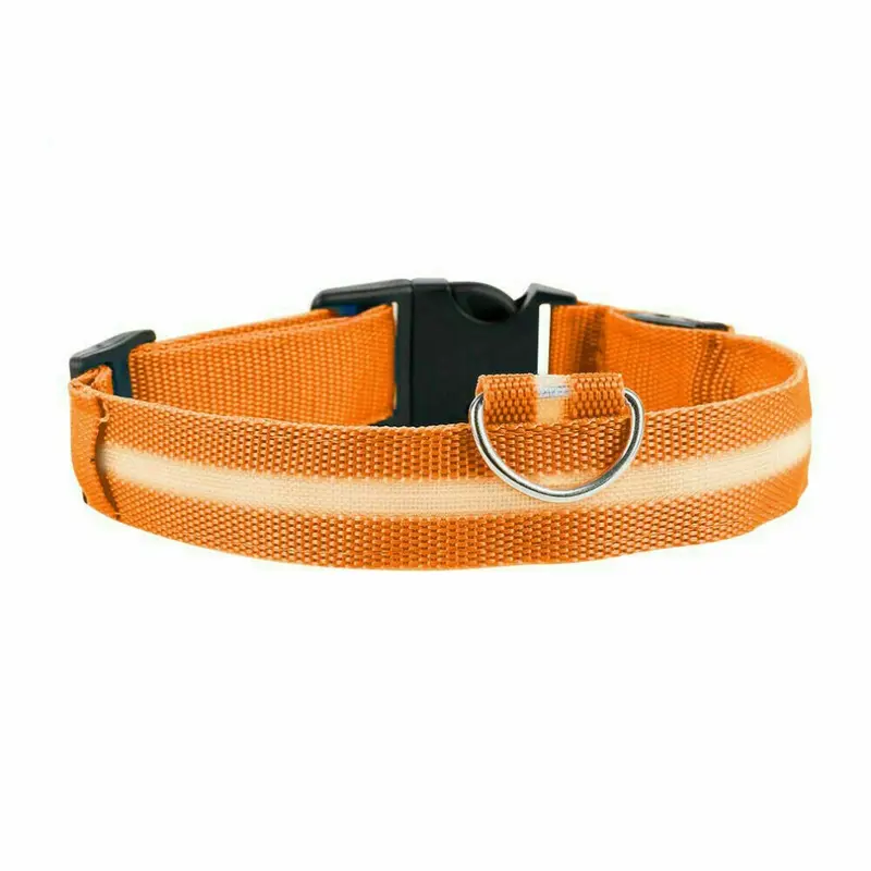 Orange (, M) Usb Rechargeable Led Flashing Luminous Safety Night Light Up Dog Pet Collar