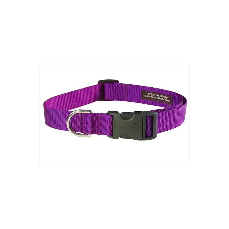 Sassy Dog Wear Purple Solid Lg-C Nylon Webbing Dog Collar, - Large