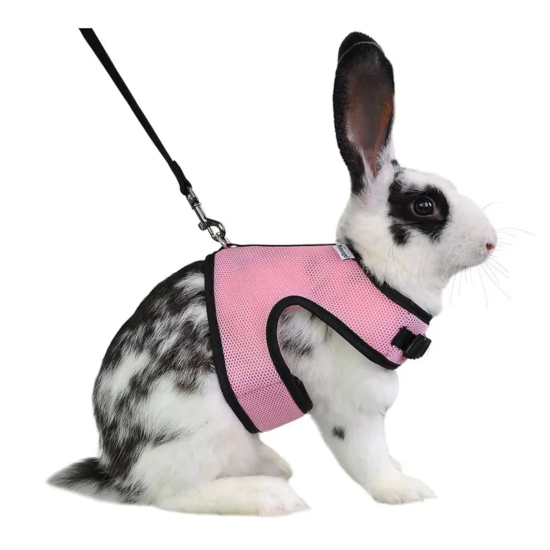 Niteangel Pink Adjustable Soft Harness With Elastic Leash For Rabbits (L )