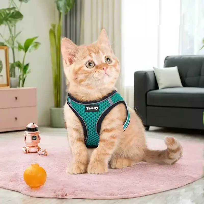 Doki Unisex Turquoise Pet Dog Harness Adjustable Extra Small