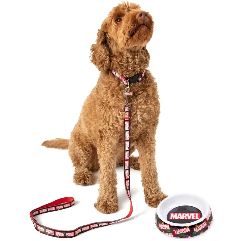 Marvel Unisex Black Bowl Collar Charm And Lead Gift Set Medium