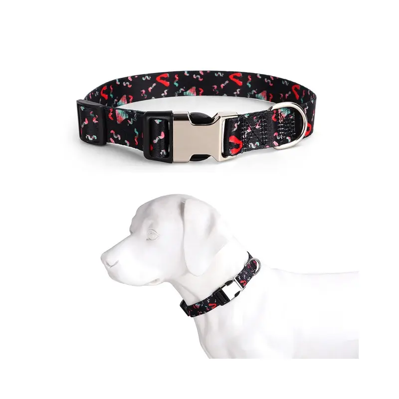 Paktoo Not,Specified (#6, L 42~60Cm) Adjustable Print Color Webbing Engraved Dog Collar