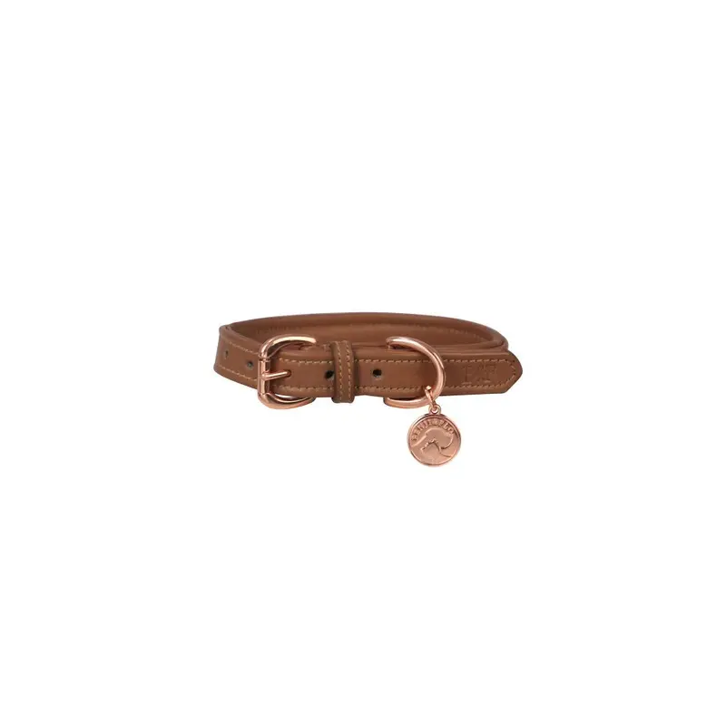 Benji & Flo Gold (L- Length: 41Cm-56Cm, Tan/Rose ) Deluxe Leather Padded Dog Collar