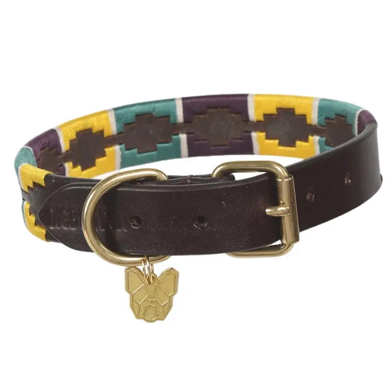 Digby & Fox Yellow/Green/Purple (Xl, ) Drover Polo Leather Dog Collar