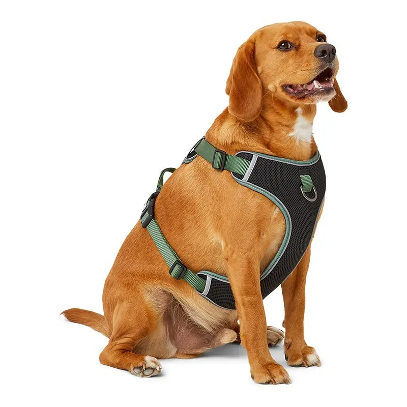Pets At Home Chest Plate Dog Harness Green Large