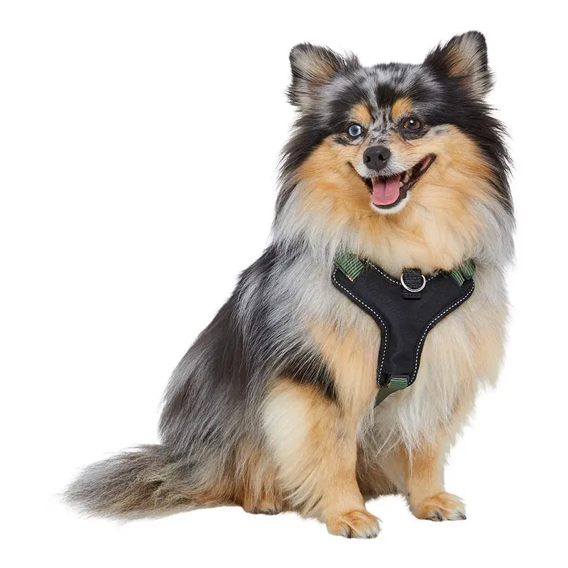 Pets At Home Control Dog Harness Green Small