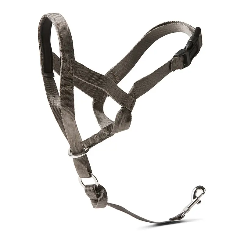 Pets At Home Control Headcollar For Dogs Grey Large
