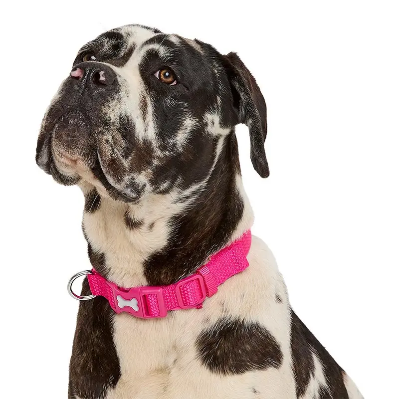 Pets At Home Design Padded Dog Collar Pink Large