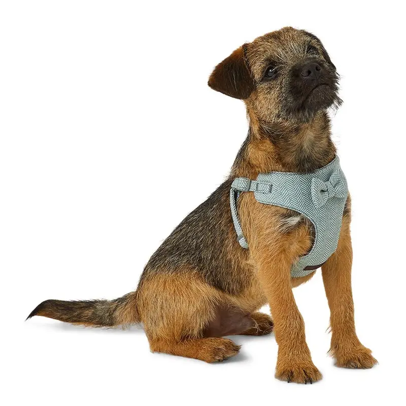 Wainwrights Herringbone Puppy Harness Blue Xx Small