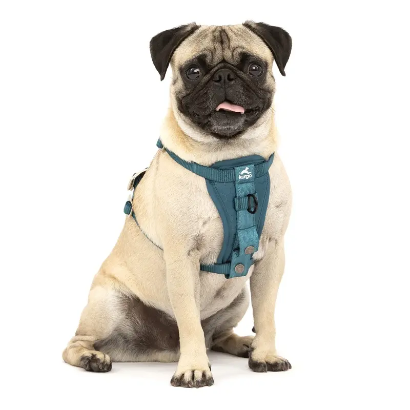 Enhanced Strenght Tru-Fit Smart Harness, Ink, Small