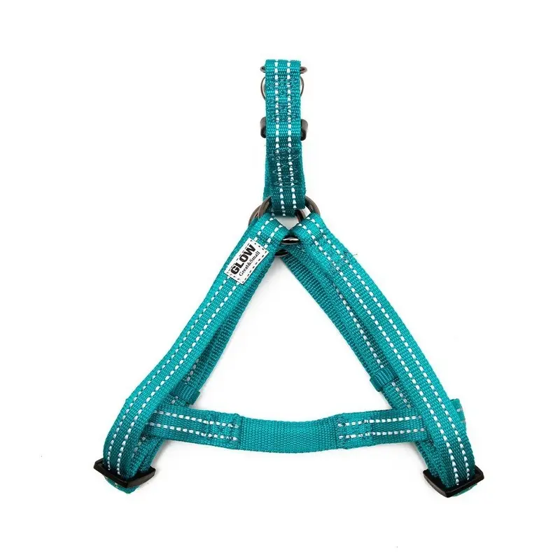 Great Turquoise Great & Dog Glow Harness | : Small