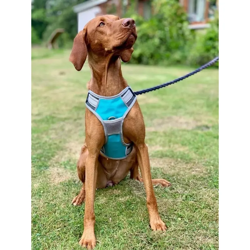 Henry Wag Dog Travel Harness - Blue/Grey Large