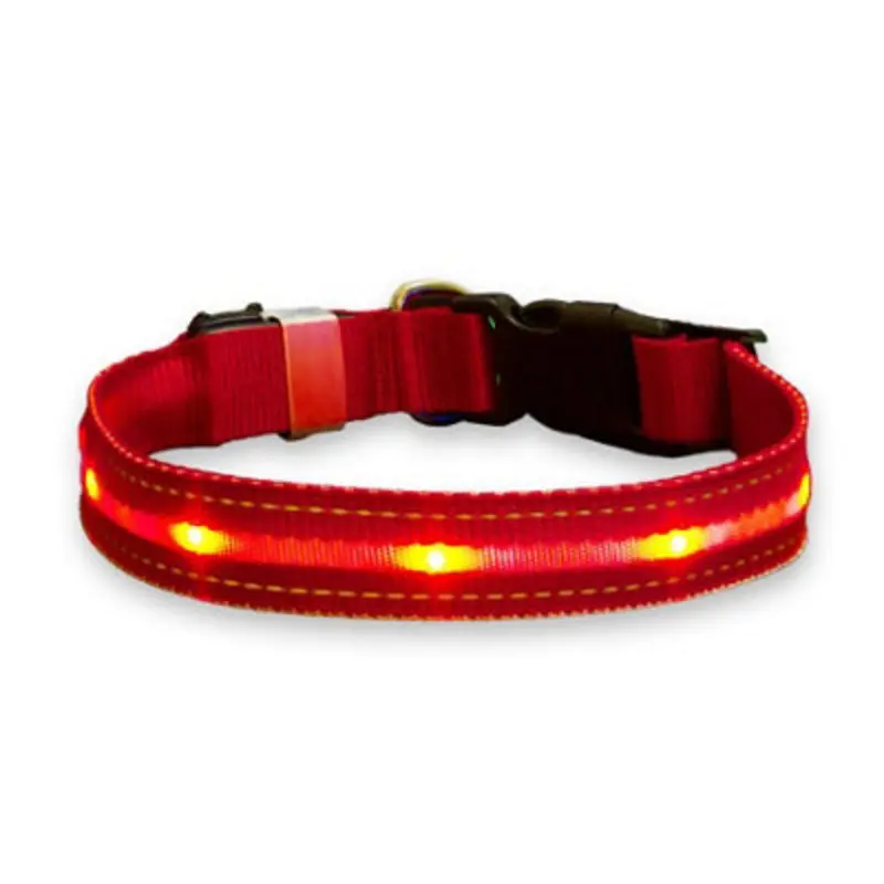 Asab Up Led Dog Collar 48-60Cm - Large Light/Red
