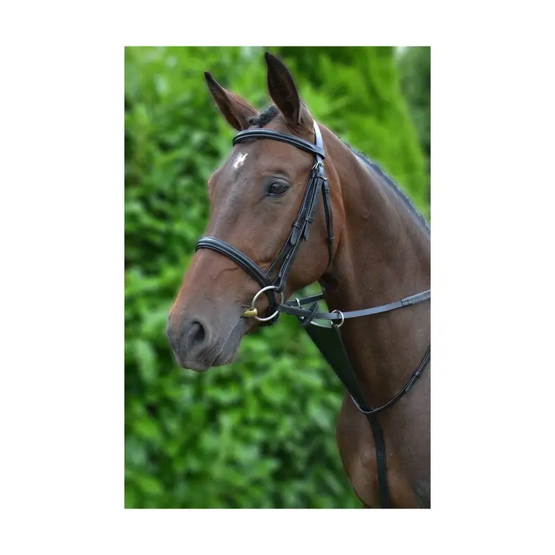 Hy Equestrian Hy Bib Martingale - Cob Black