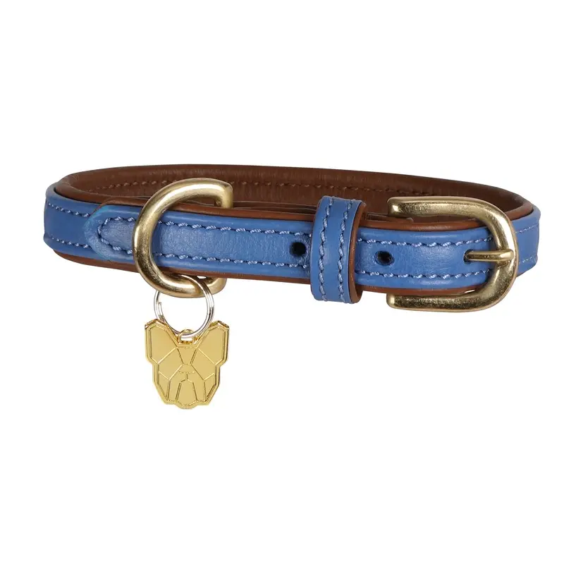 Digby And Fox Padded Leather Dog Collar Royal - Extra Large