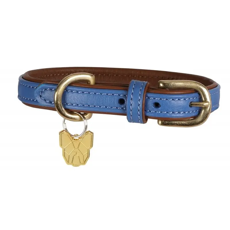 Shires Digby & Fox Padded Leather Dog Collar - Royal Size: XXS