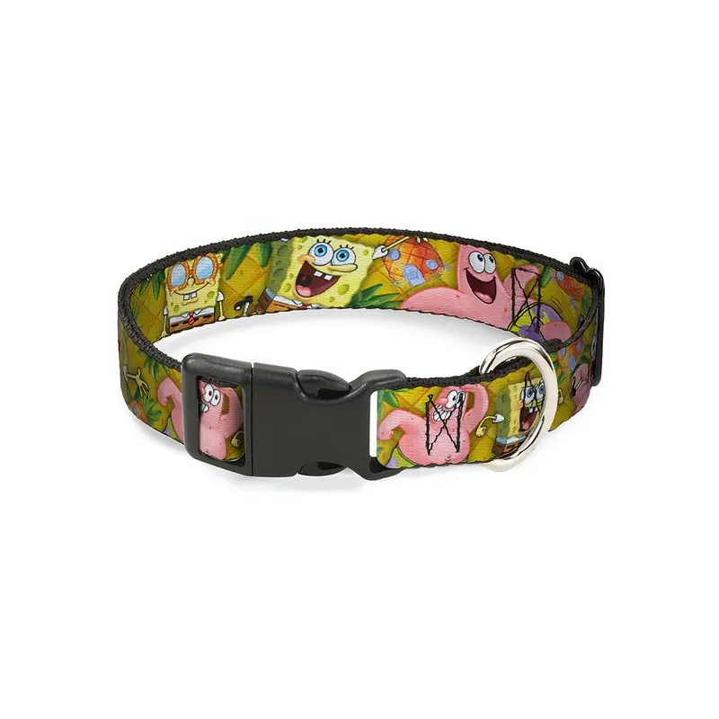 Spongebob & Patrick Posing in Pineapple Pet Collar