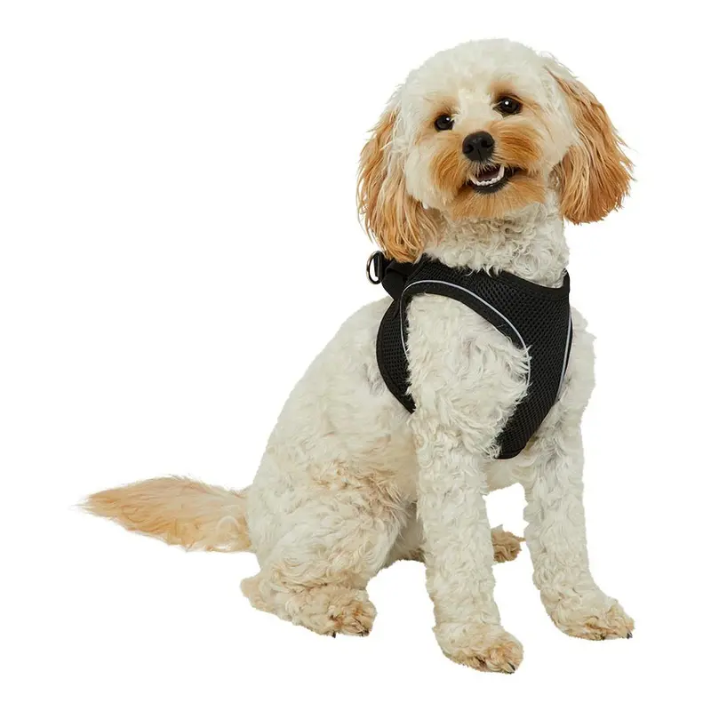 Pets At Home Mesh Dog Harness Black Small