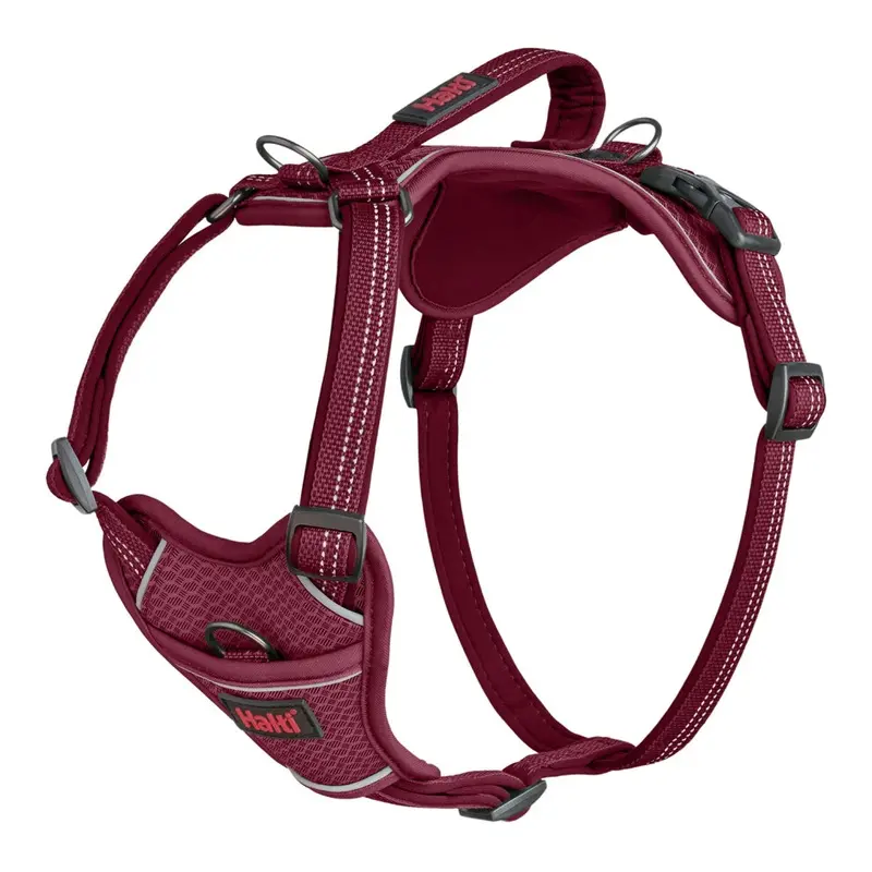 Halti Magenta (S, ) Anatomy Dog Harness