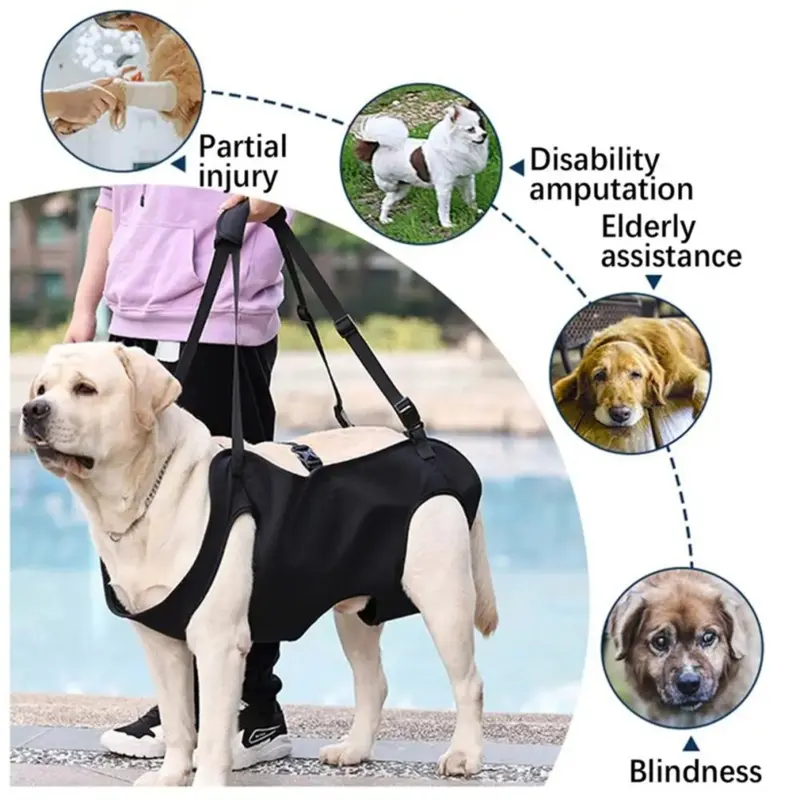 Pet Support Harness Puppy Rehabilitation Lift Vest Adjustable,M Medium