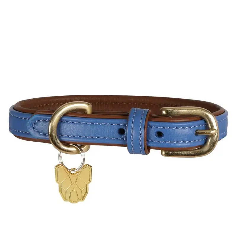 Digby & Fox Blue (Xl - Neckline: 58Cm-64Cm, Royal ) Leather Padded Dog Collar