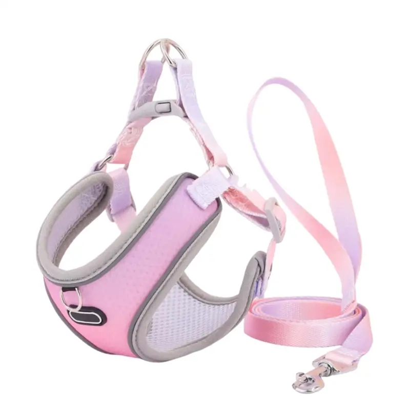 Escape Proof Cat Harness And Leash Set Adjustable Pet Leash (B), Small