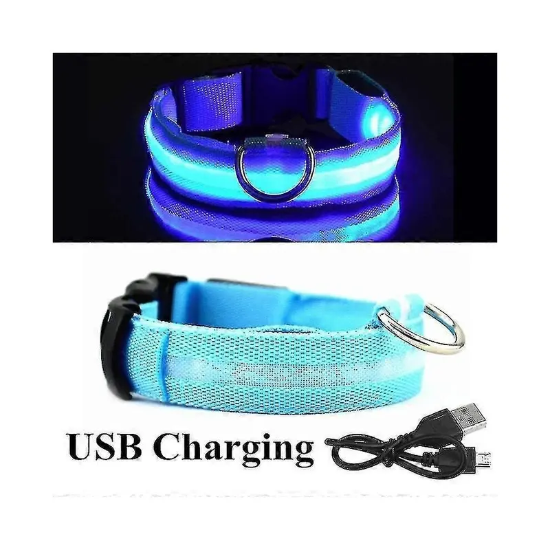 Kikidex Blue ( Usb, M) Adjustable Luminous Led Glowing Safety Dog Collar Extra Large
