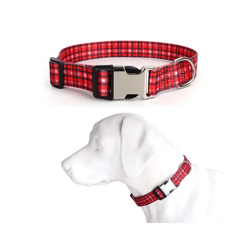 Paktoo Not,Specified (#3, S 28~40Cm) Adjustable Print Color Webbing Engraved Dog Collar