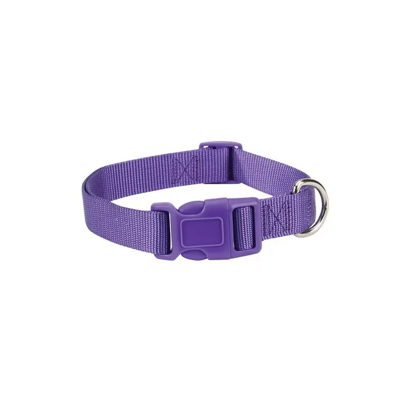 Partyanimal Purple 6-10 In. Nylon Dog Collar,