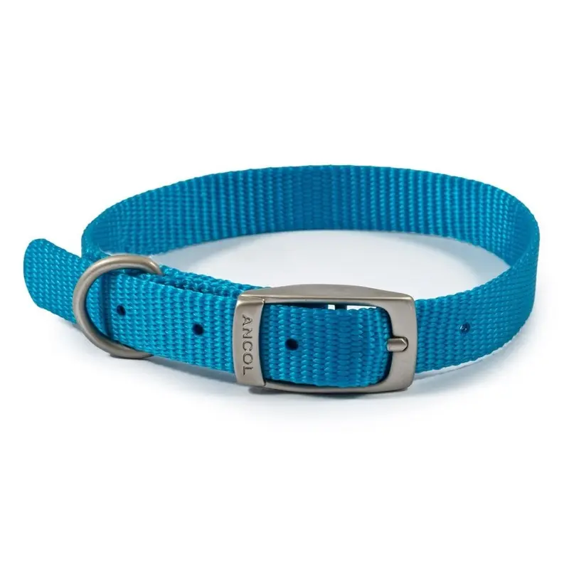 Ancol Blue Viva Buckle Dog Collar - : Large