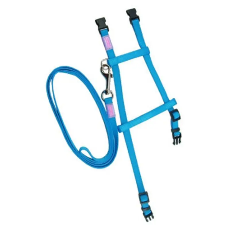 B&Q Kitty&Co Nyl Adj Cat Harness&Lead Set Astd 9Mm X30-40Cm Pink/Purple/Blue