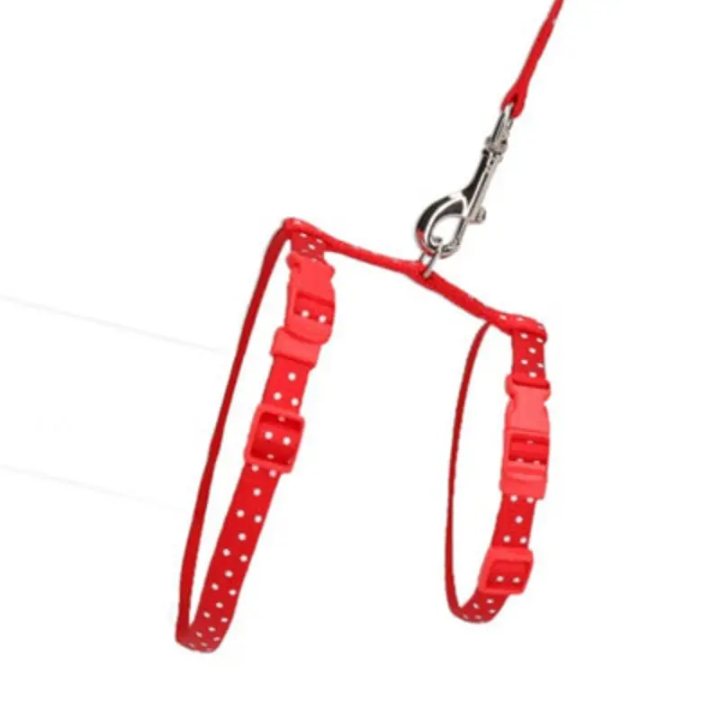Ab Tools Large Rabbit Poka Dot Harness & Lead (Neck19-30/Chest25-41Cm) Red