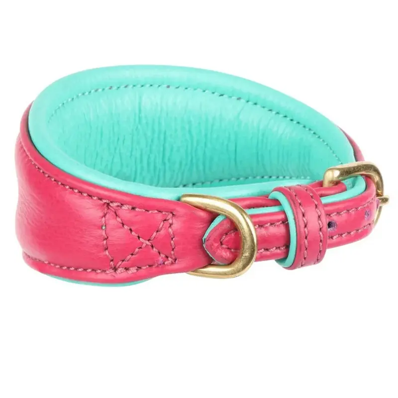 Digby & Fox Pink (Xs - Neckline: 21Cm-24Cm, ) Leather Padded Greyhound Dog Collar