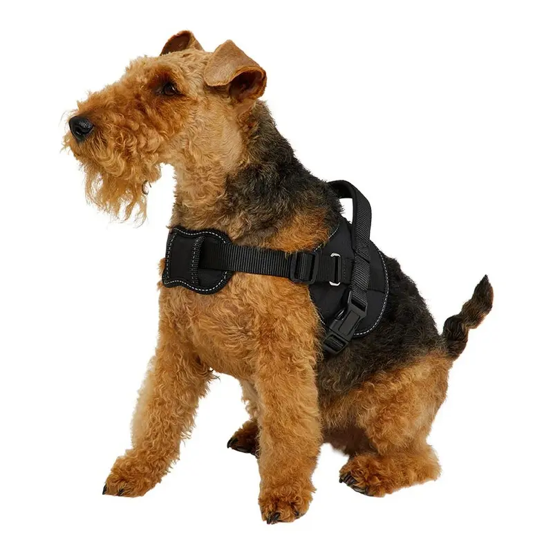 Pets At Home Explorer Dog Harness Black Large