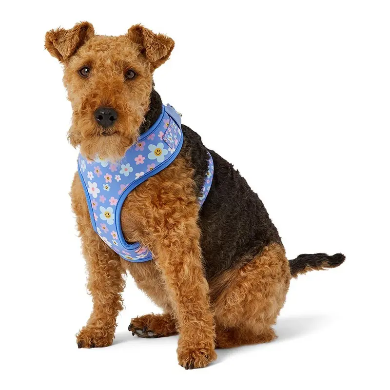 Pets At Home Smiley Flowers Dog Harness Blue Medium