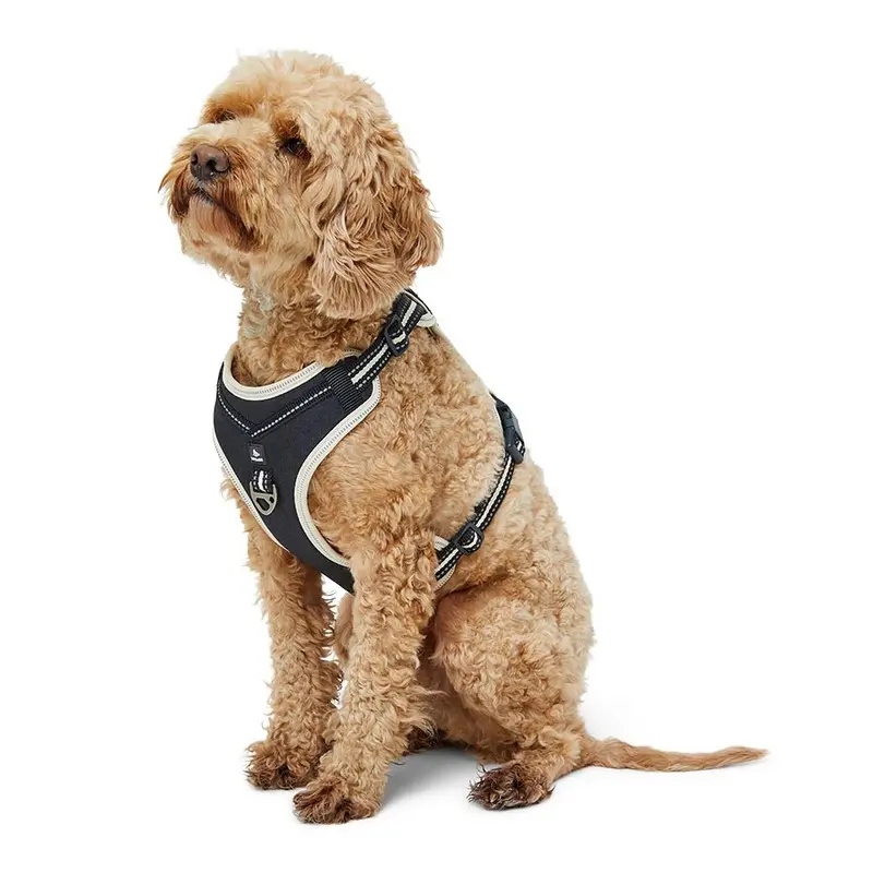3 Peaks Ascent Dog Harness Ecru Medium