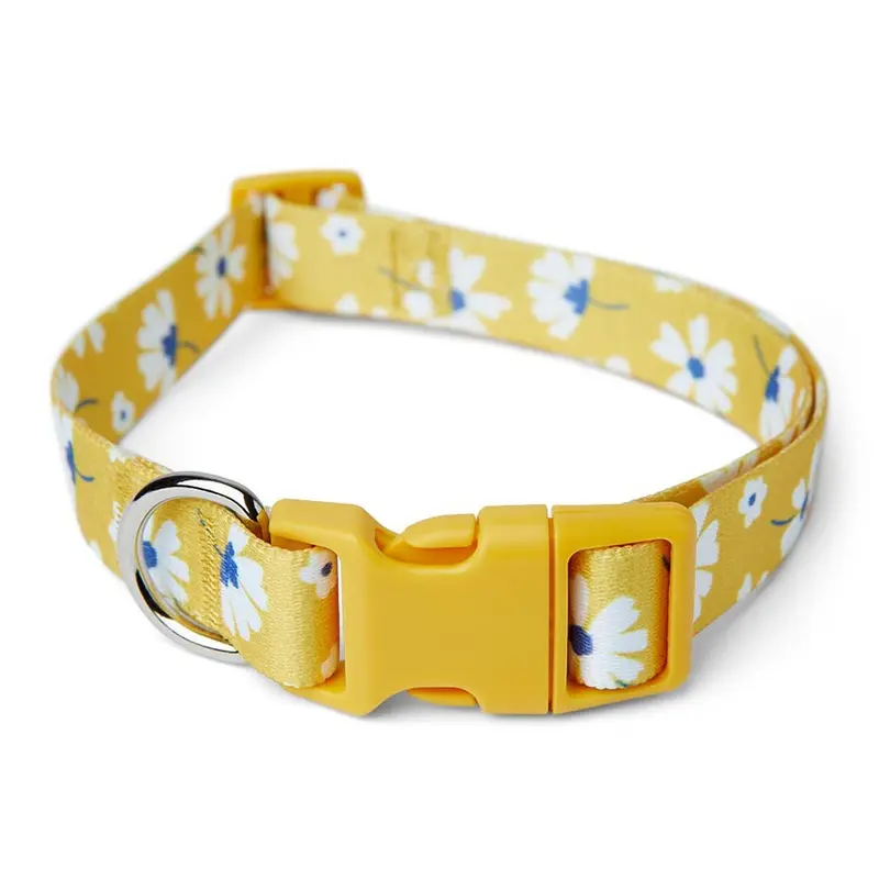 Pets At Home Daisy Print Dog Collar Yellow X Small-Small