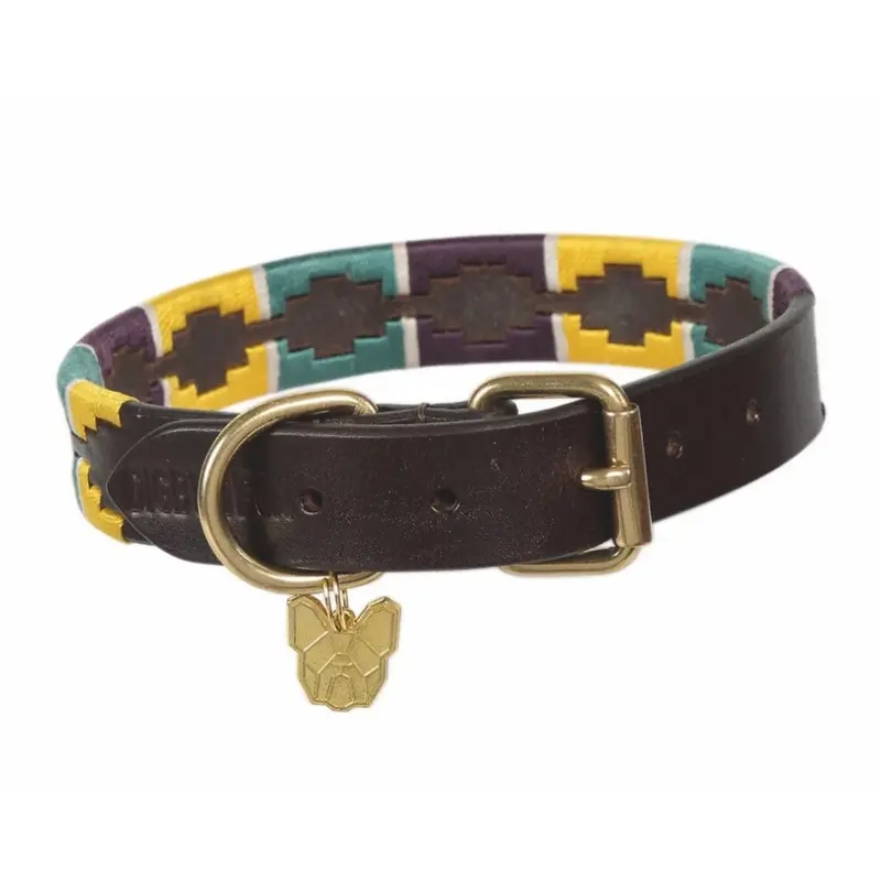 Shires Yellow/Dark/Green (S - Neckline: 14In-18In, / Green/Purple) Leather Dog Collar