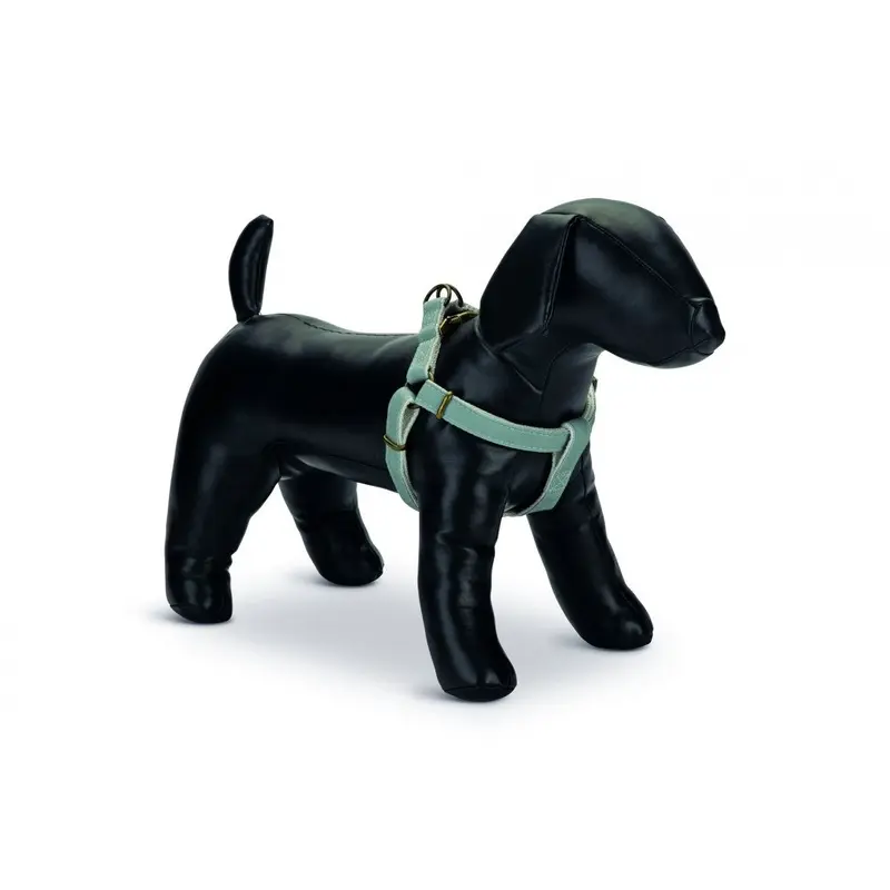 Designed By Lotte Nylon Virante Dog Harness - Mint - 25Mm X 60-100Cm Size 4
