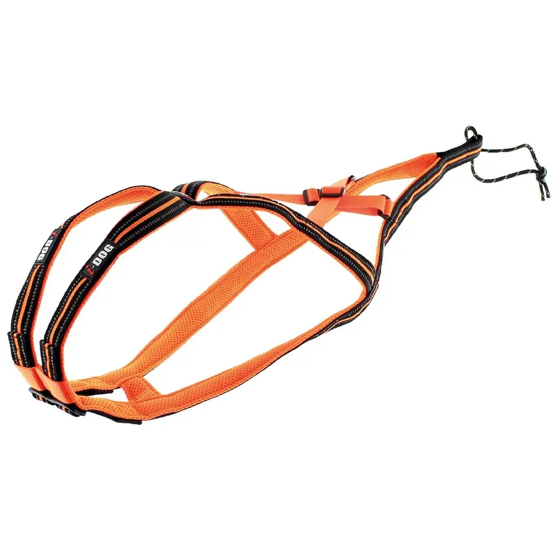 I-Dog Orange Dog Harness Canicross X-Back One