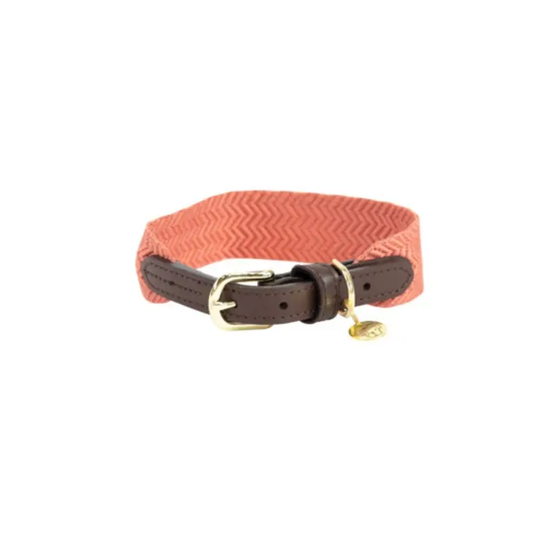 Kentucky Dogwear Rose Dog Collar Kentucky Jacquard