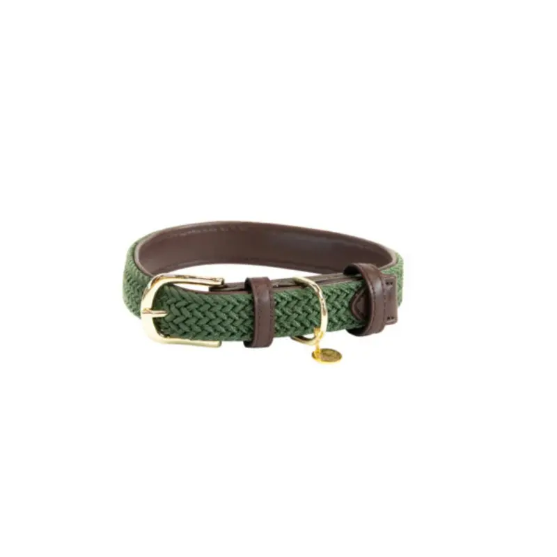 Kentucky Dogwear Vert Braided Nylon Dog Collar Kentucky Small