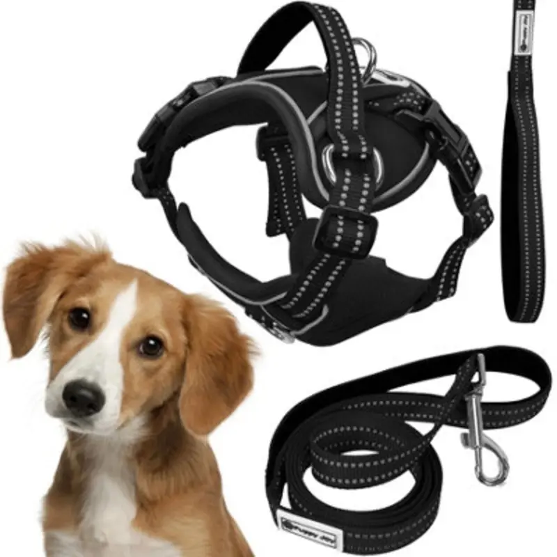 Tutumi Black Leash And Harness Pj-055 Medium