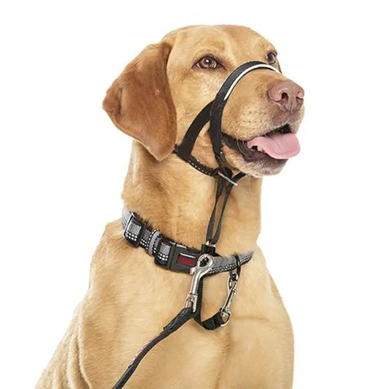 Halti Unisex Dog Headcollar - Black Size 0