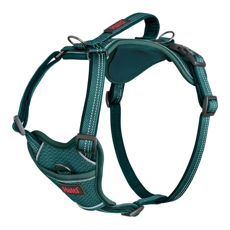 New Halti (L, Teal) Anatomy Dog Harness Blue