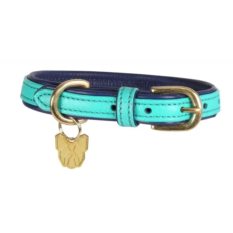 Shires Digby & Fox Padded Leather Dog Collar - Aqua Size: XL