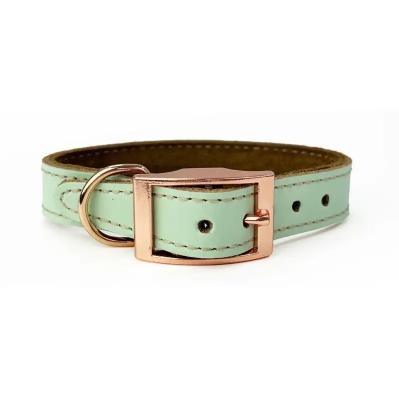 New Hugglepets , Pistachio) Skye & Murphy Luxury Padded Leather Dog Collar Green Large
