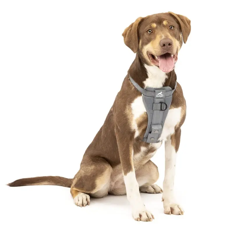Kurgo , Enhanced Strength Tru-Fit Smart Harness For Dogs, Charcoal, Medium