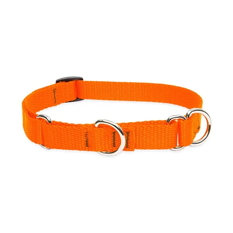 Lupinepet Orange Basics 3/4"" Blaze 14-20"" Martingale Collar For And Larger Dogs Medium